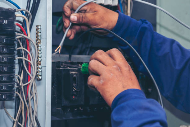 Best Licensed Electrician  in Zellwood, FL