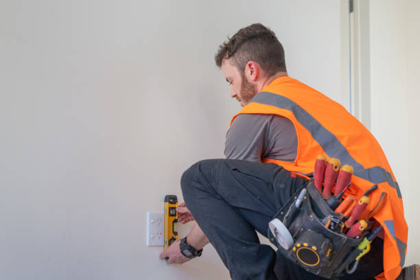 Best Affordable Electrician  in Zellwood, FL