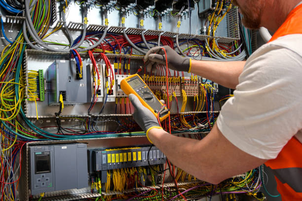 Best Home Electrical Repair  in Zellwood, FL