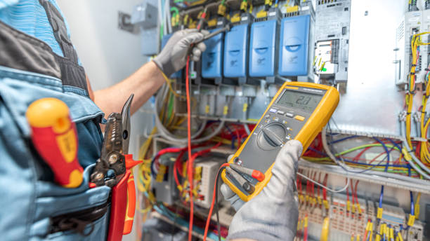 Best Electric Panel Repair  in Zellwood, FL